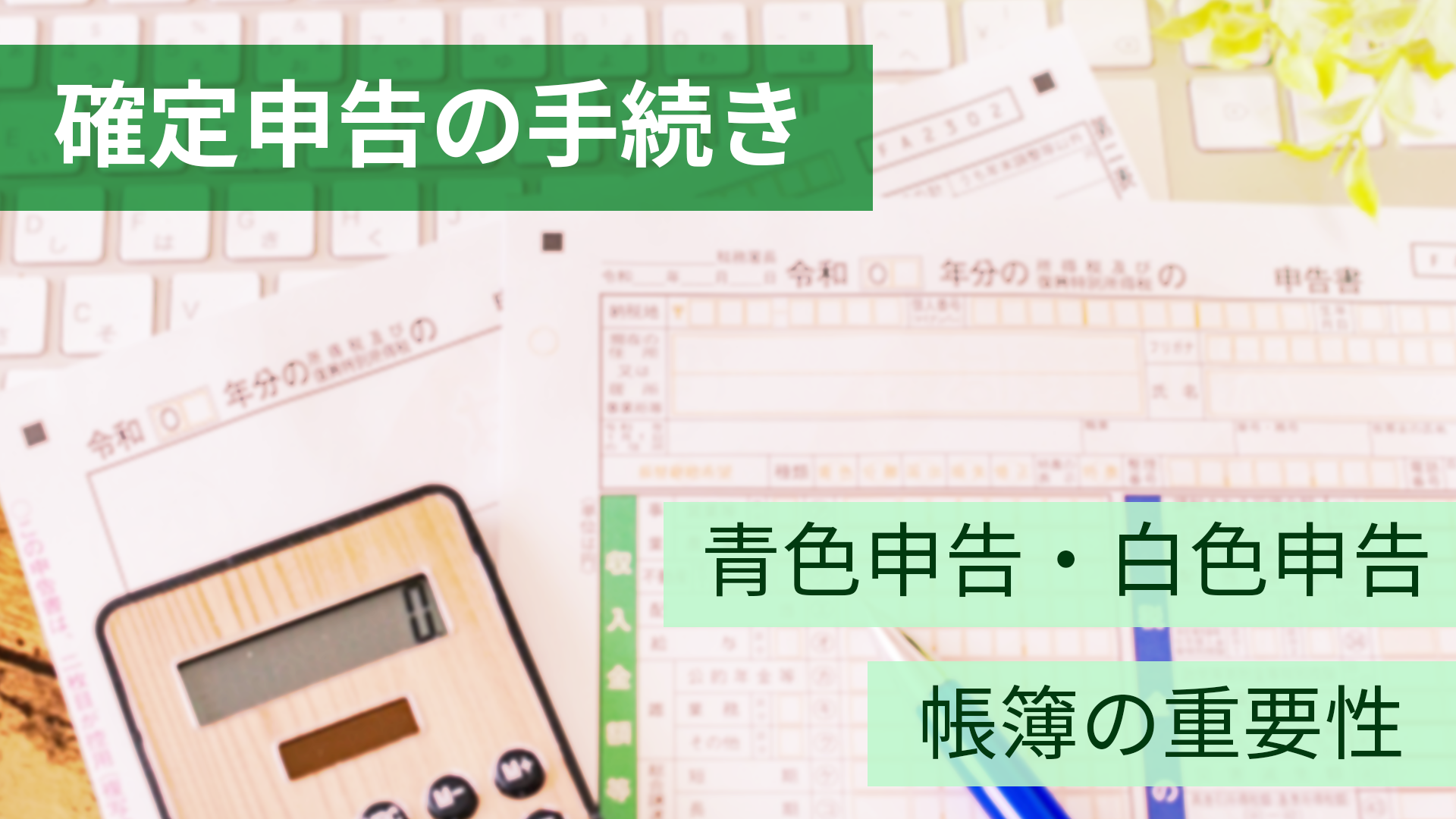 確定申告の青色・白色？フリーランスの確定申告について解説